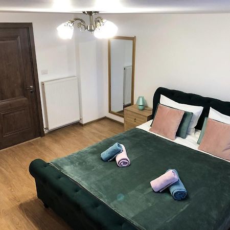 Ultra Central Apartment, Free Parking Oradea - Stray Cats エクステリア 写真