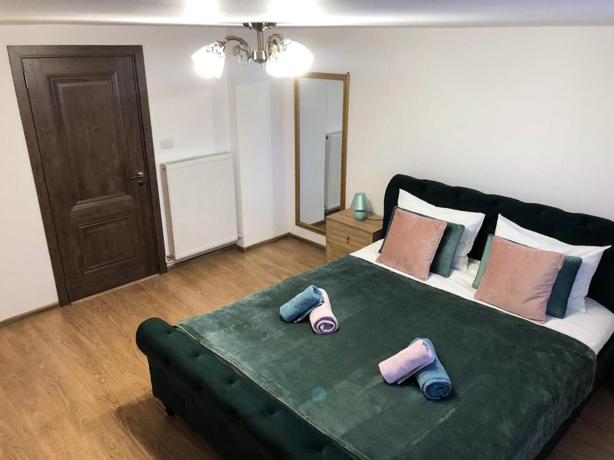 Ultra Central Apartment, Free Parking Oradea - Stray Cats エクステリア 写真